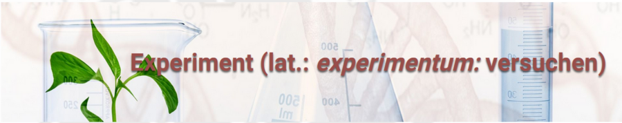 Experiment (lat.: experimentum)
