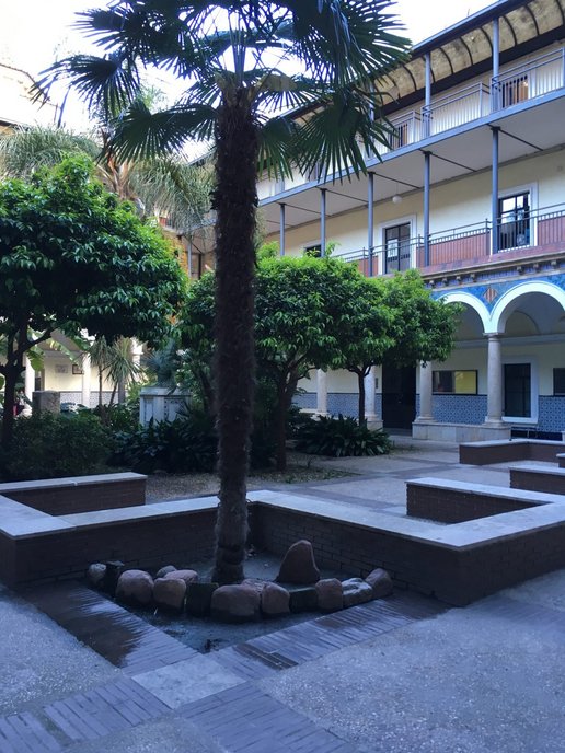 Instituto Lluis Vives – patio con naranjo (Partnerschule – Innenhof mit Orangenbäumen und einer Palme)