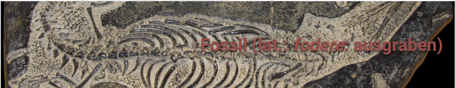 Fossil (lat.: fodere)